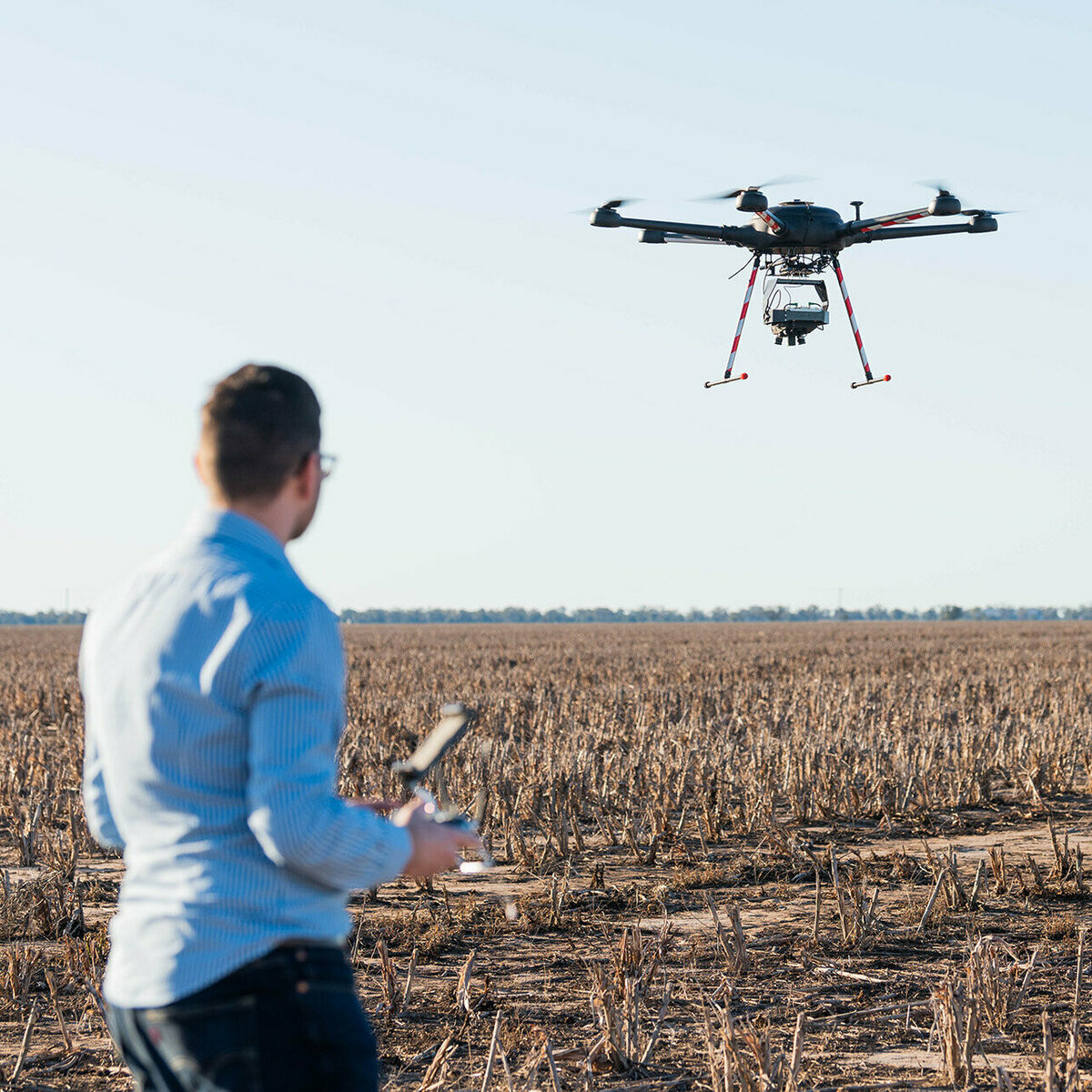 A man stands in a harvested field flying a drone